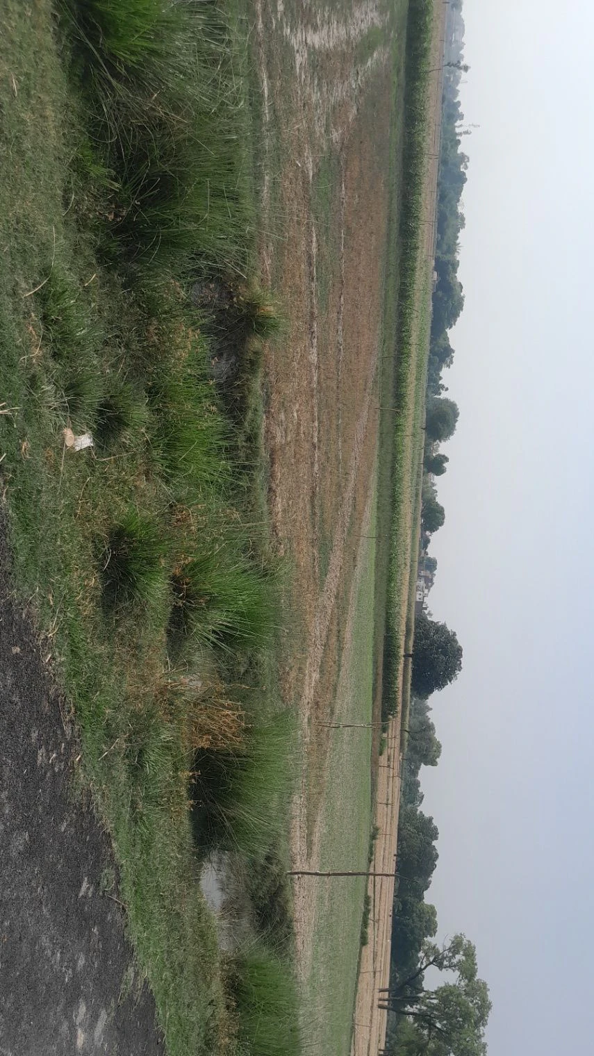P5M7+M52, Malik Pur, Chandpur Harbanshpur, Uttar Pradesh 224133, India