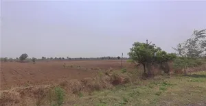C48M+6MX, Nani Moldi, Gujarat 363520, India preview 2