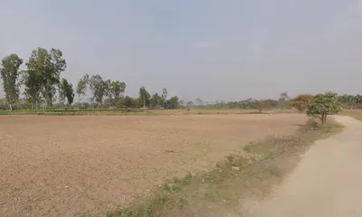 NH31, Bagzan, Maynaguri, Jalpaiguri, Singimari, West Bengal 735302, India preview 2