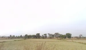 Bharari, Chhattisgarh, India preview 2