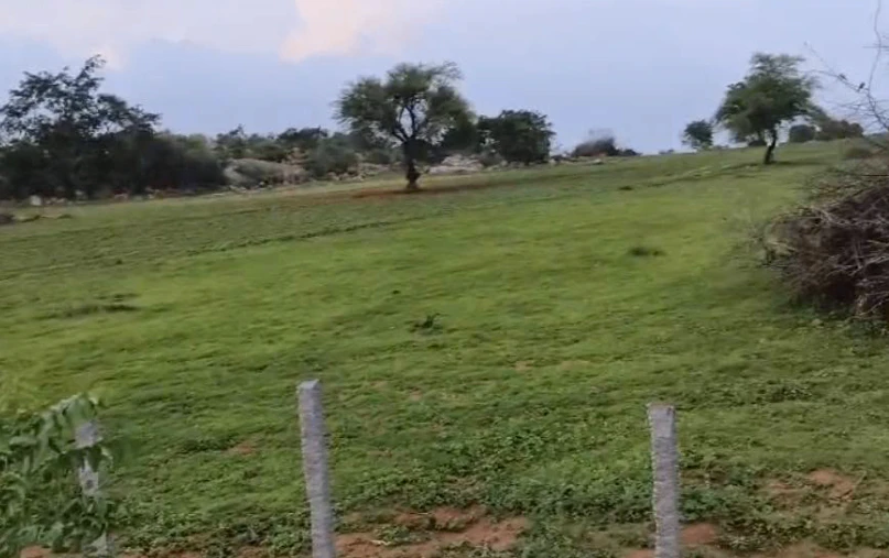 RW39+9CW, Nalgonda, Nelvalapalli, Telangana 508373, India