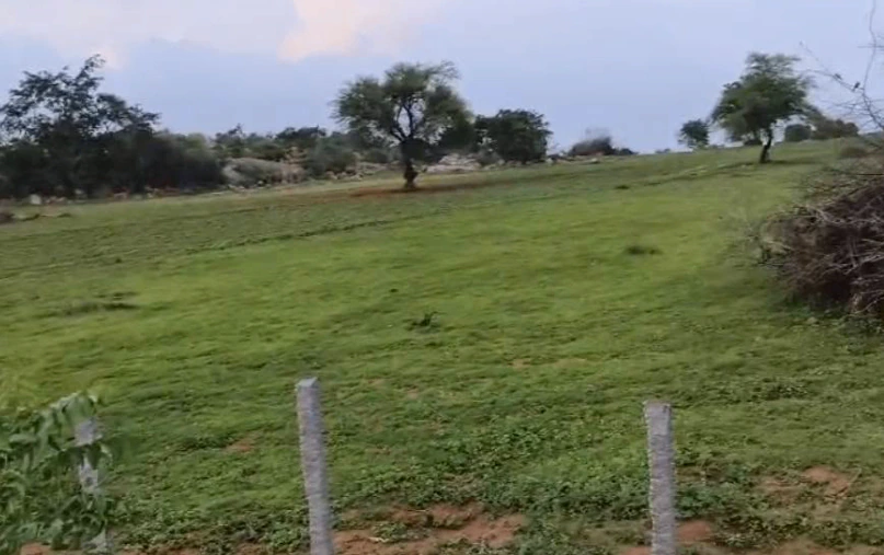 RW39+9CW, Nalgonda, Nelvalapalli, Telangana 508373, India - Photo 3
