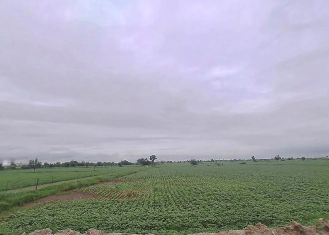 J56J+XM Bala, Rajasthan, India