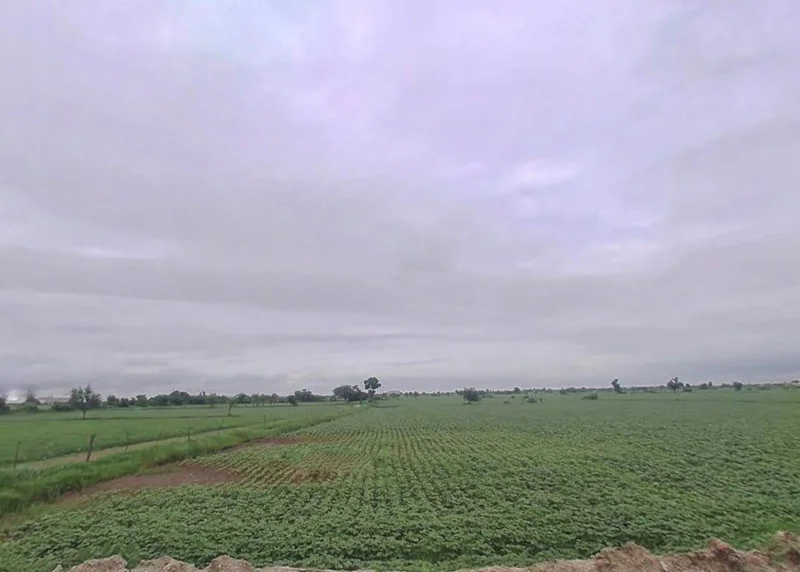 J56J+XM Bala, Rajasthan, India preview 2