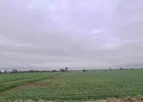 J56J+XM Bala, Rajasthan, India preview 2