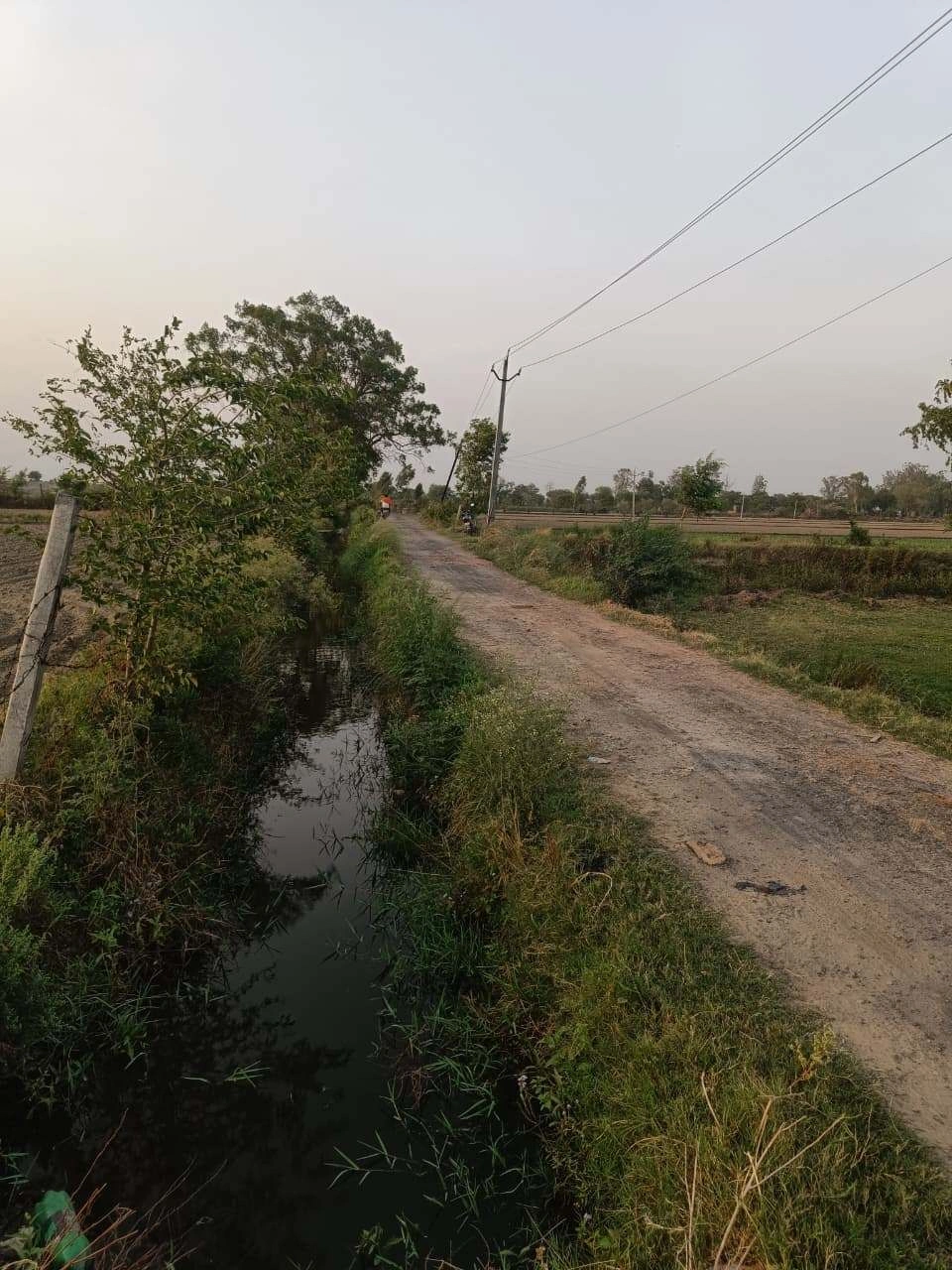 Chandauri, Uttar Pradesh, India preview 3