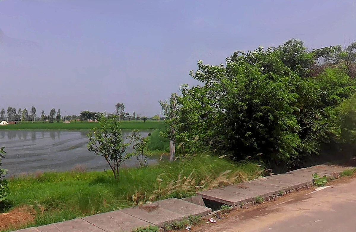 3M77+HVW, Bodhani, Loatani, Haryana 136129, India