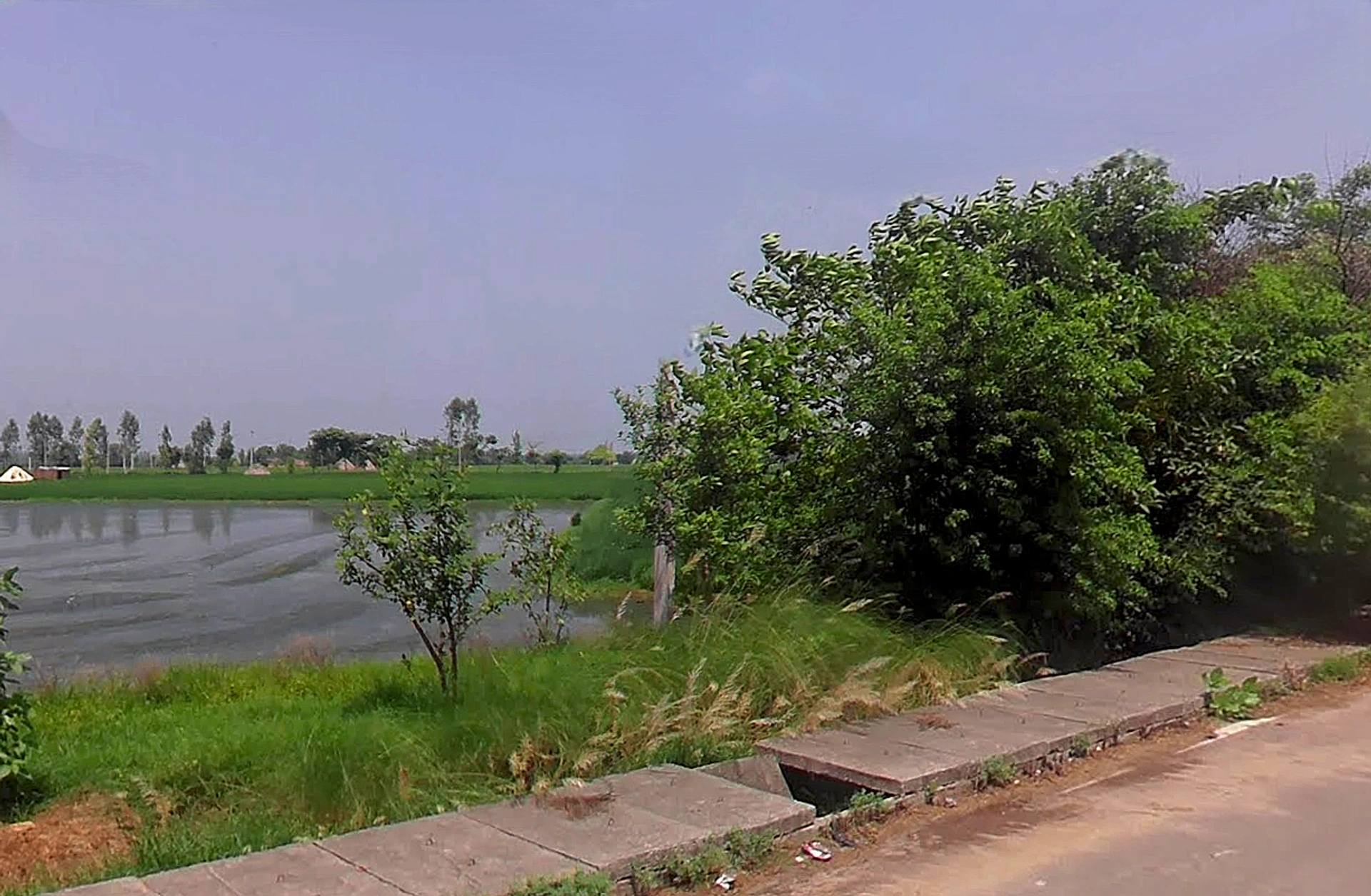 3M77+HVW, Bodhani, Loatani, Haryana 136129, India