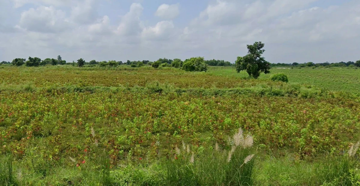 Umariya, Chhattisgarh 492101, India