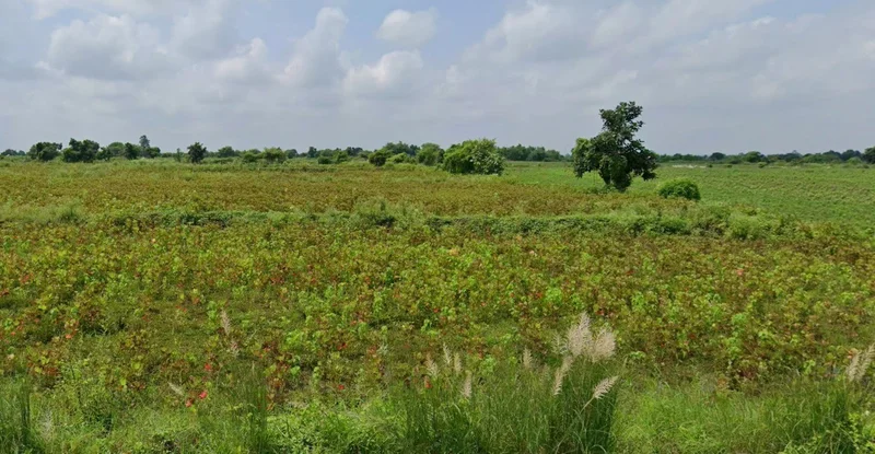 Umariya, Chhattisgarh 492101, India preview 2