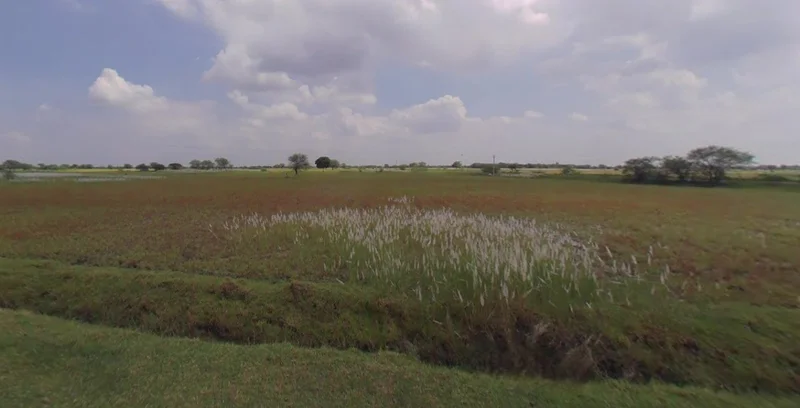 Khatoo, Rajasthan 332602, India preview 3