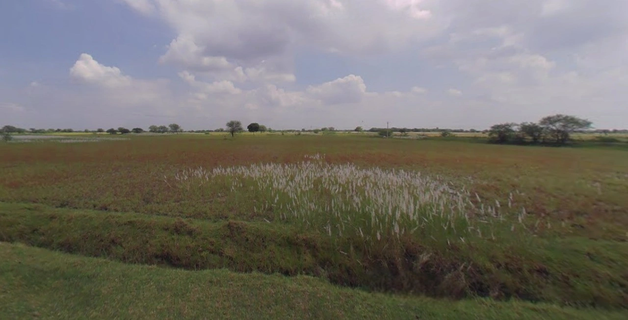 Khatoo, Rajasthan 332602, India