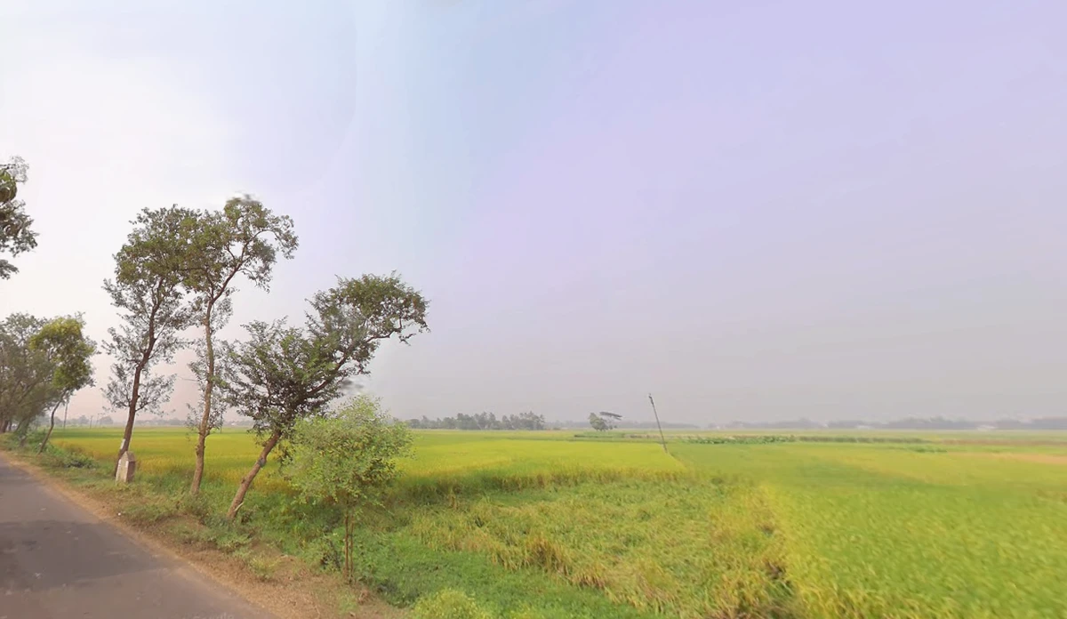 Kalyani Expy, West Bengal, India