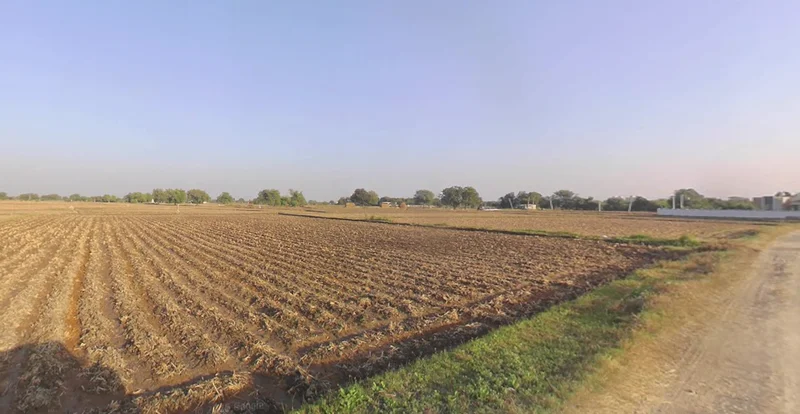 Adhana, Gujarat 384441, India preview 3