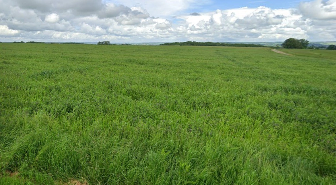 Semari Tala, Madhya Pradesh 461775, India