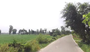 Janipur, Uttar Pradesh 247129, India preview 2