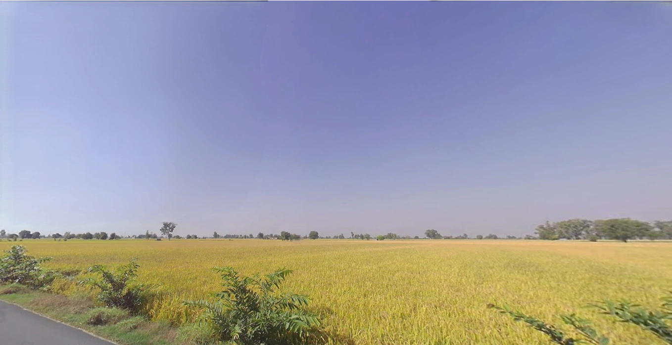 Barjora, West Bengal 722202, India