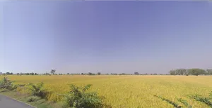 Barjora, West Bengal 722202, India preview 3