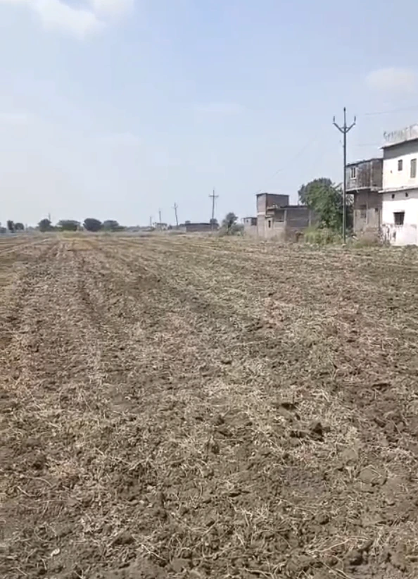 Haidarganj, Sehore, Madhya Pradesh 466113, India - Photo 3