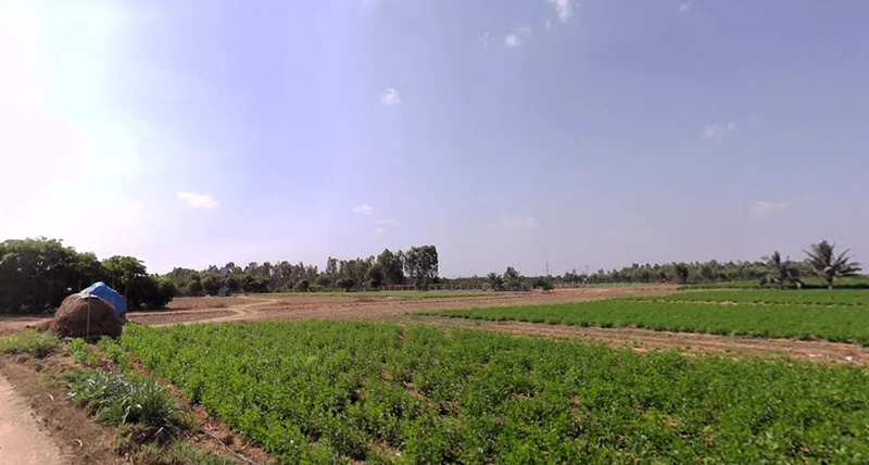 Heggadadevankote, Karnataka 571114, India preview 2