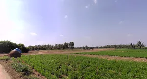 Heggadadevankote, Karnataka 571114, India preview 2