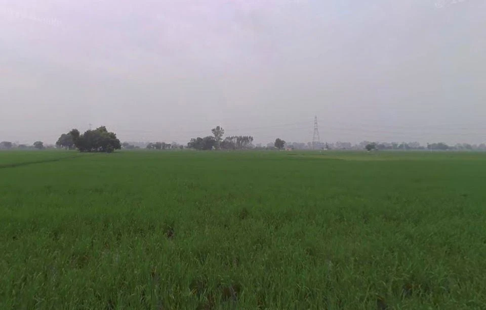 Jaitowal, Punjab, India
