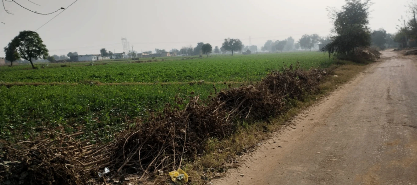 MJ4C+W7Q, Sahibzada Ajit Singh Nagar, Machhli Kalan, Punjab 140307, India