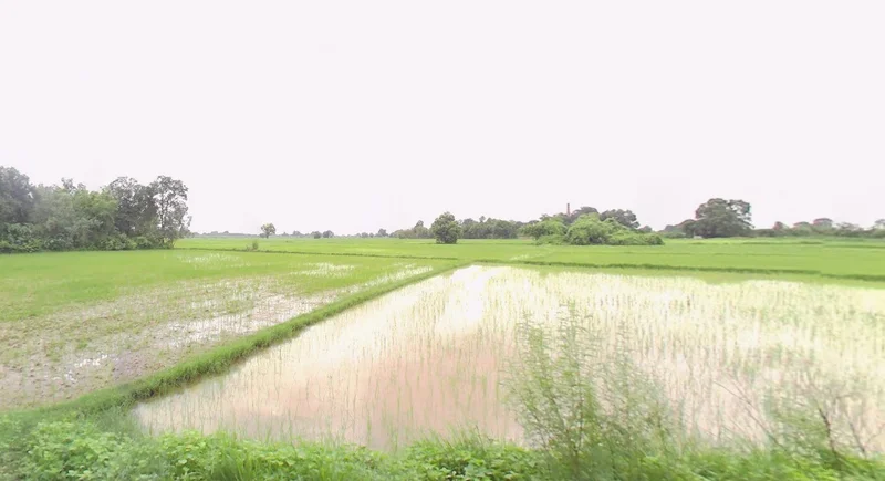 Sadalpur, Madhya Pradesh 454001, India preview 3