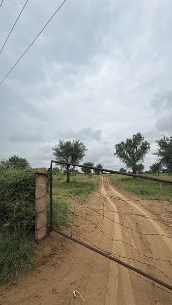 9F65+56 Sawai Balwaniyan, Rajasthan, India preview 3