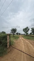 9F65+56 Sawai Balwaniyan, Rajasthan, India preview 3