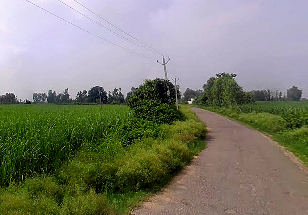 Bhaguwala, Uttar Pradesh 246749, India