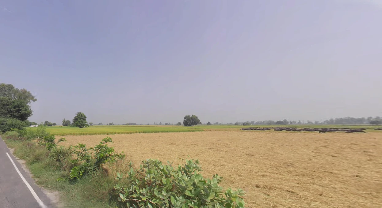 Bareta, Punjab 151501, India