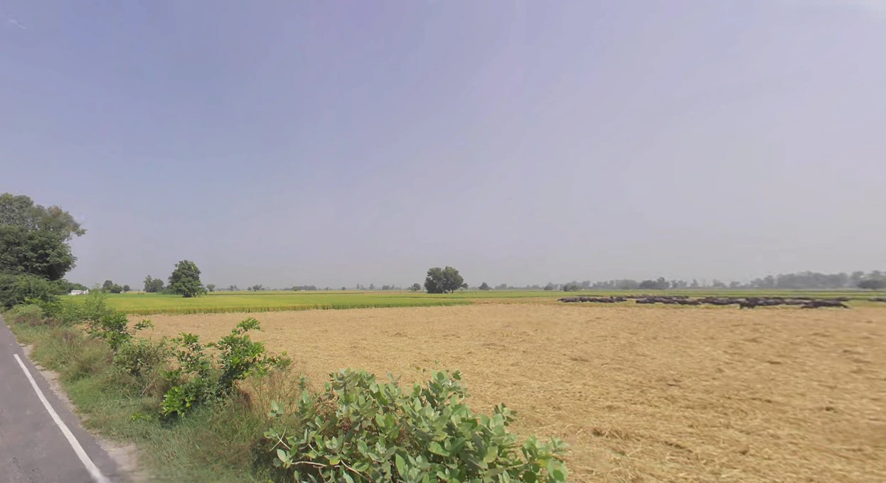 Bareta, Punjab 151501, India