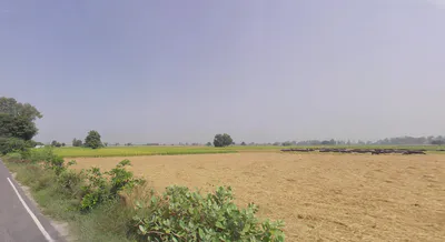 Bareta, Punjab 151501, India preview 3