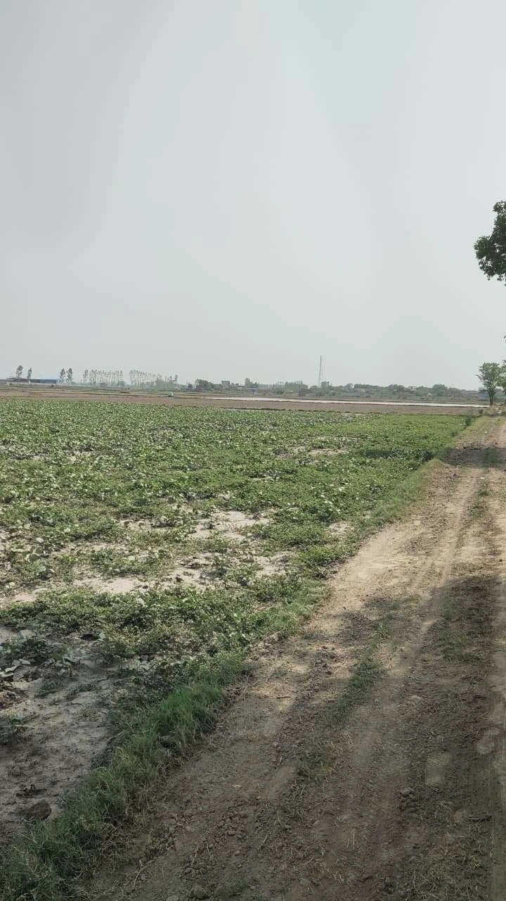 Ajijpur, Uttar Pradesh, India