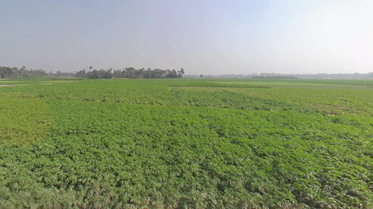 Madhyamgram, Kolkata, West Bengal, India