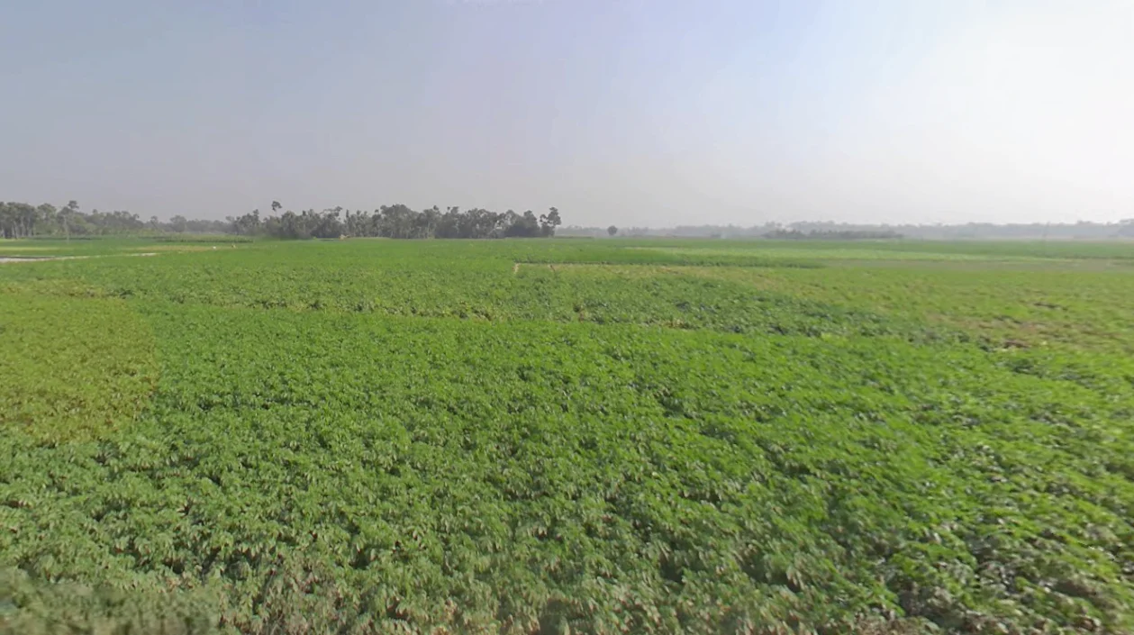 Madhyamgram, Kolkata, West Bengal, India preview 3