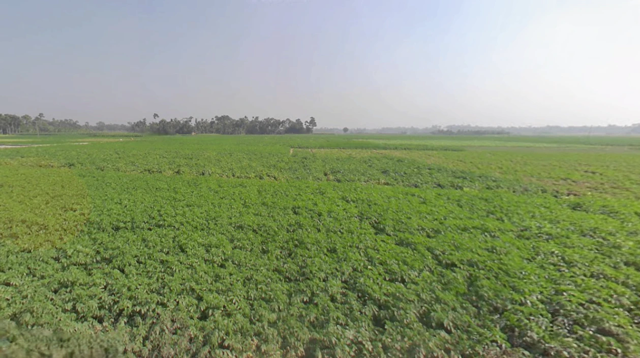 Madhyamgram, Kolkata, West Bengal, India