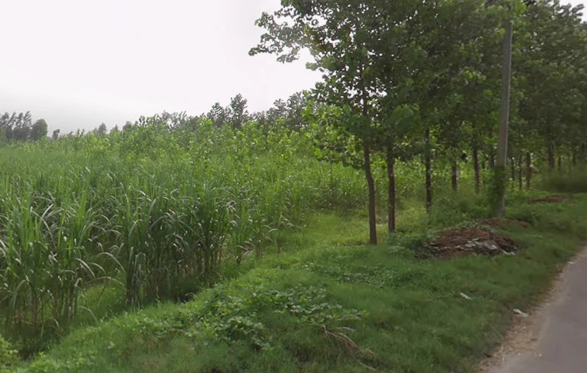 Sarsawa, Uttar Pradesh 247232, India
