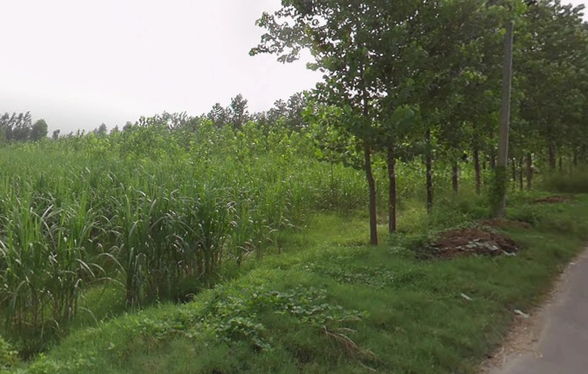 Sarsawa, Uttar Pradesh 247232, India