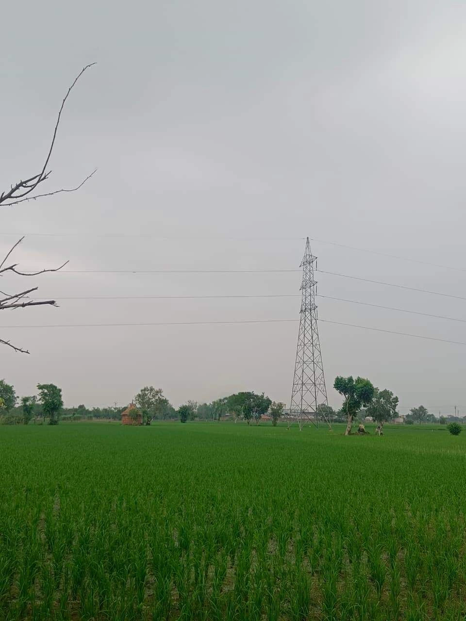 Bukharari, Mathura, Uttar Pradesh, India preview 2