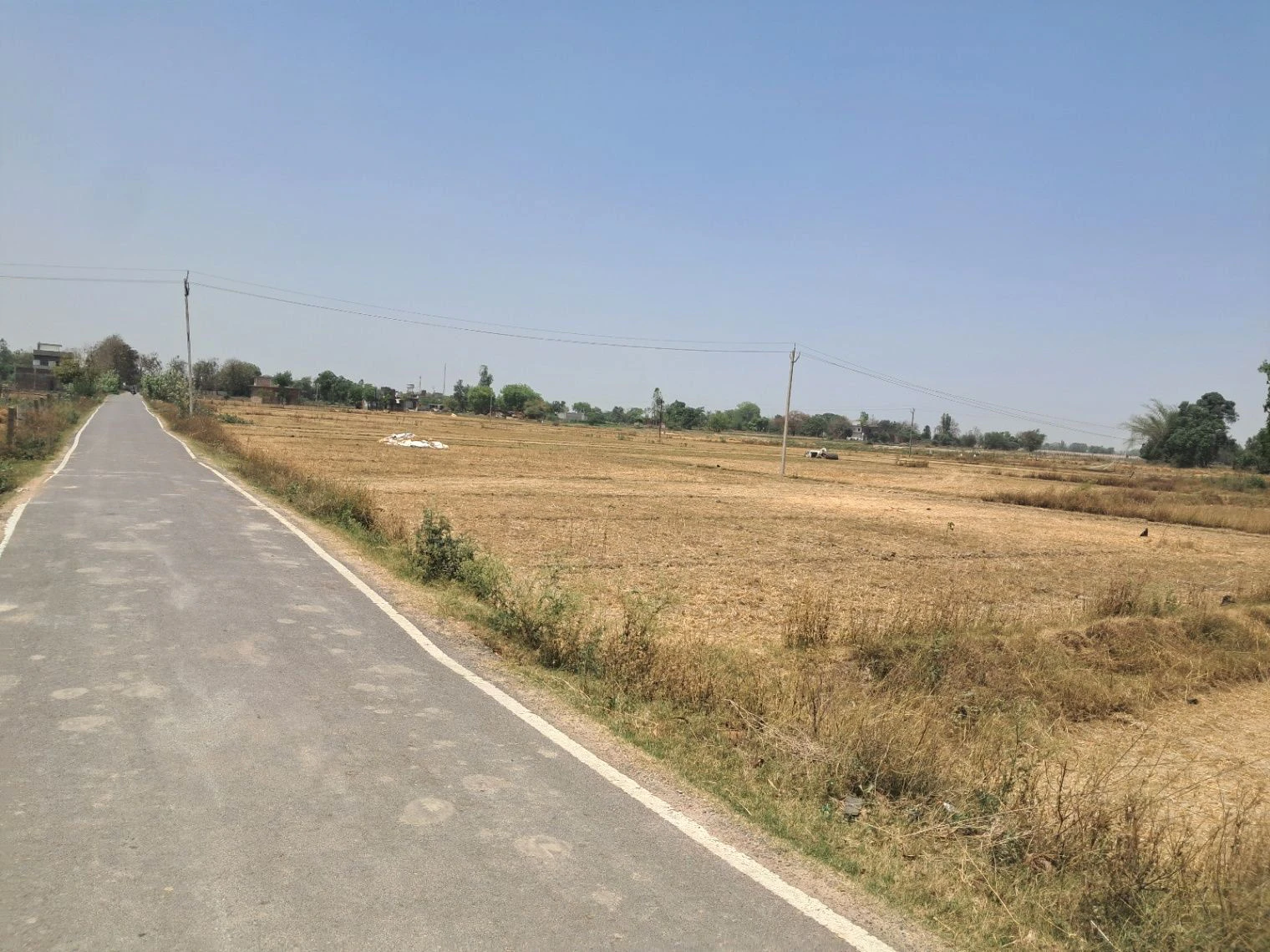 P575+PF Khanpur Masodha, Uttar Pradesh, India