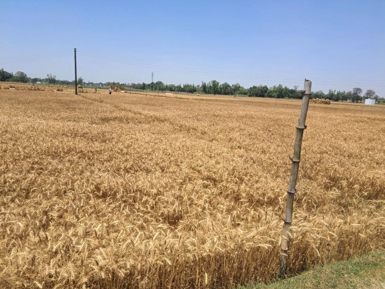 QW8R+33 Deora Kot, Uttar Pradesh, India