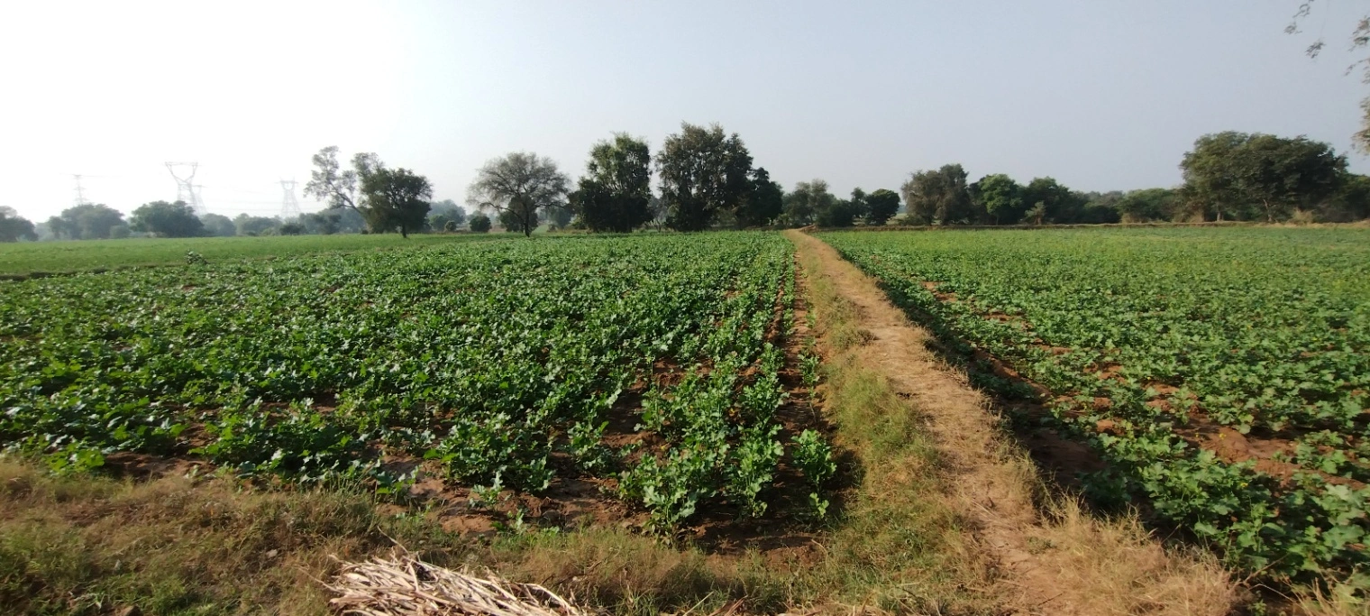 Suthaliya, Madhya Pradesh 465677, India