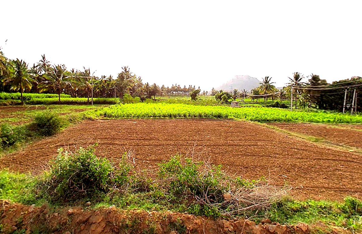 Kodigenahalli, Karnataka 572127, India