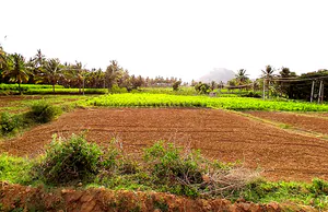 Kodigenahalli, Karnataka 572127, India preview 3