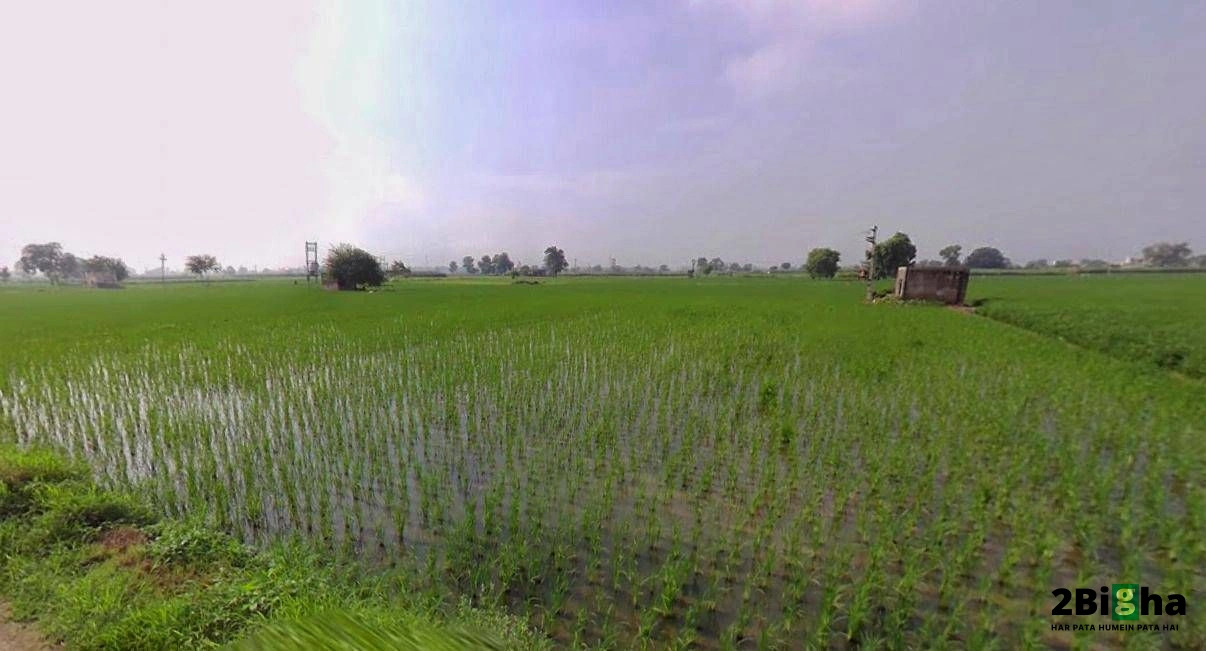 Hansi, Haryana 125033, India