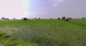Hansi, Haryana 125033, India preview 3