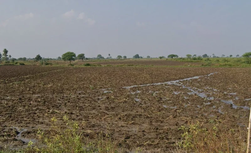 Manglaya Sadak, Indore, Madhya Pradesh, India preview 2
