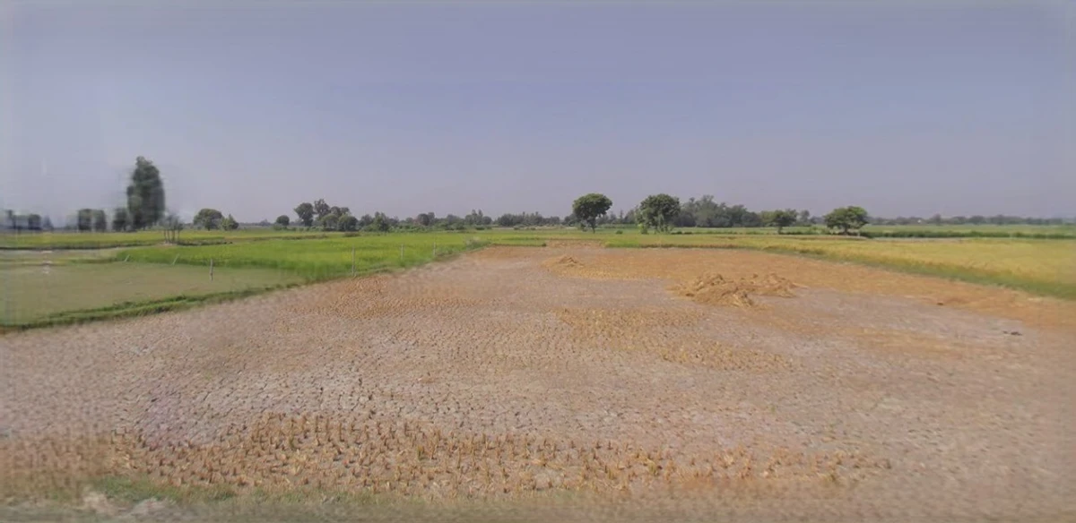 Rewari, Haryana 123401, India